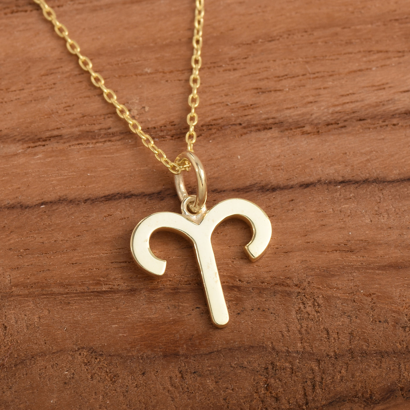 Aries Zodiac Plain Pendant Necklace